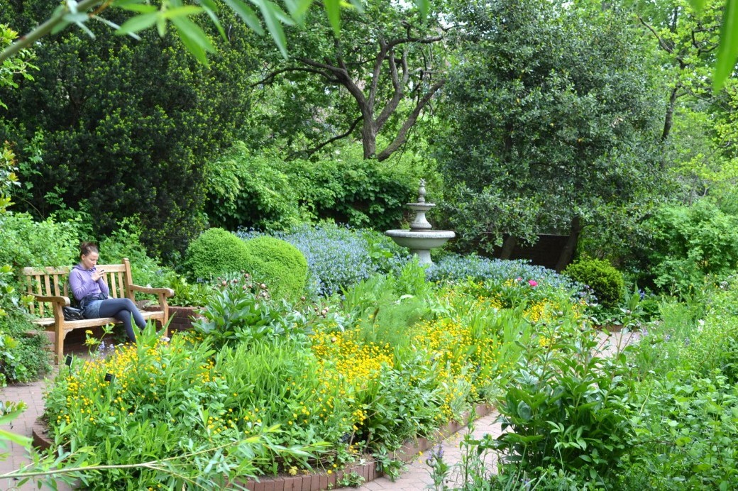 Garden Circle July Early-Morning Hours 3